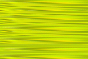 Similar image 13324655