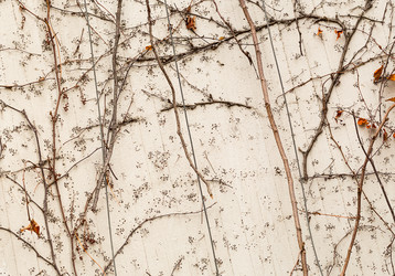 Similar image 13324657