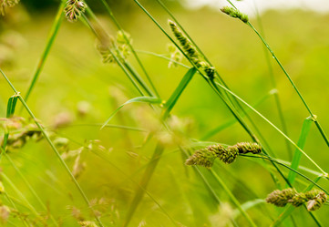 Similar image 13324677