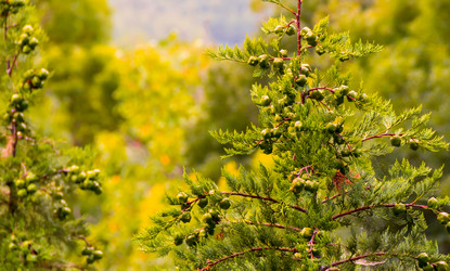 Similar image 13324659