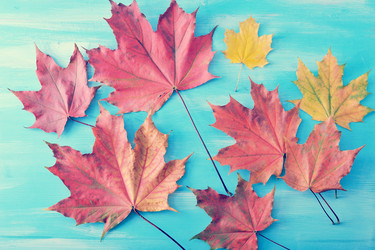 Similar image 13326435