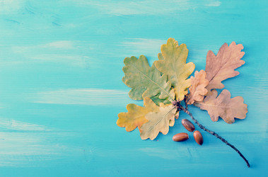 Similar image 13326460