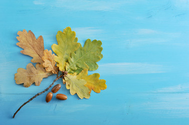 Similar image 13326462