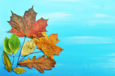 Similar image 13326464