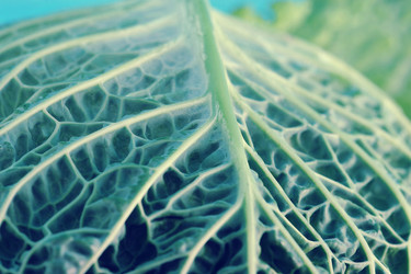 Similar image 13326228