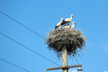 Similar image 14513340