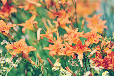 Similar image 13326386