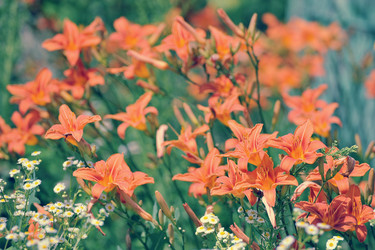 Similar image 13326387