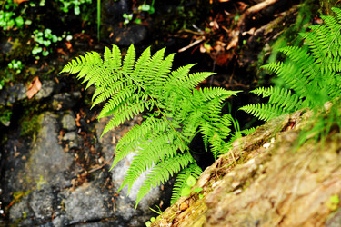 Similar image 13326441