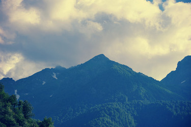 Similar image 13326546