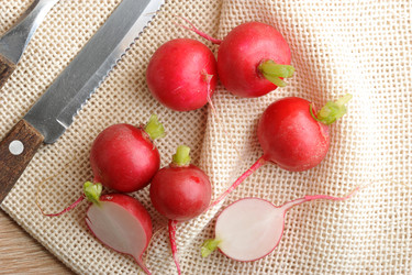 Similar image 13326109