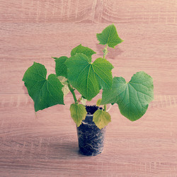 Similar image 14869157