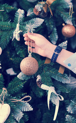 Similar image 13326117