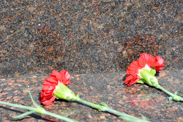 Similar image 13326191