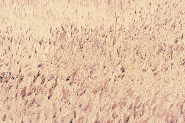 Similar image 13326193