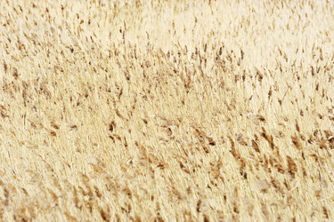 Similar image 13326215