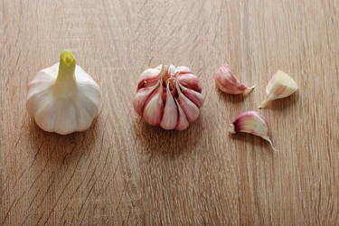 Similar image 13326324