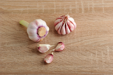 Similar image 13326326