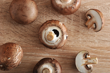 Similar image 13326242