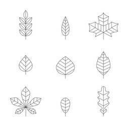 Similar image 13326374