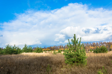 Similar image 13621156