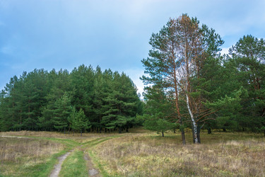 Similar image 13621176