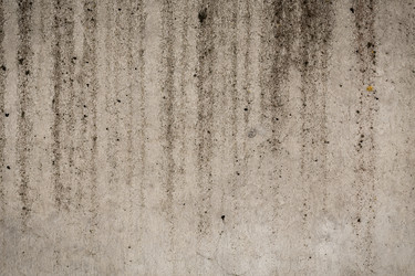 Similar image 13327747