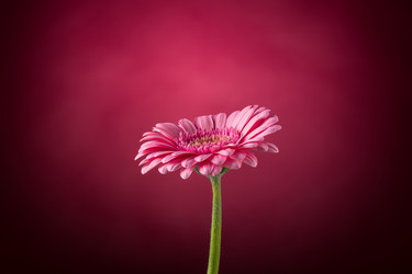 Similar image 13327749