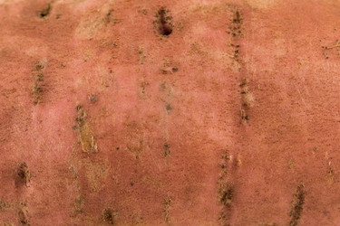 Similar image 13327850