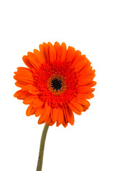 Similar image 13328024