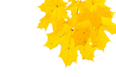 Similar image 13328029