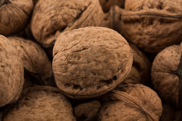 Similar image 13328047