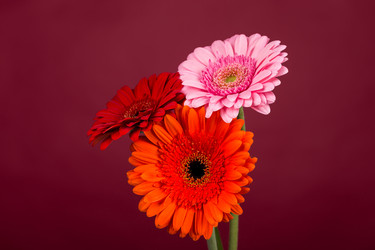 Similar image 13327631