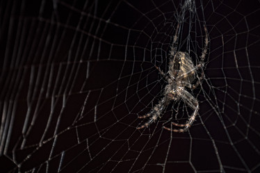 Similar image 14272372