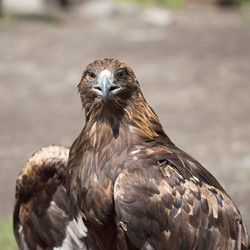 Similar image 14240623