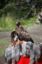 Similar image 14240714