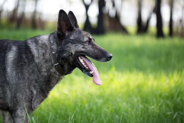 Similar image 14240829