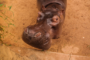 Similar image 14505891