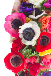 Similar image 14873270