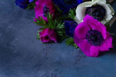 Similar image 14873294