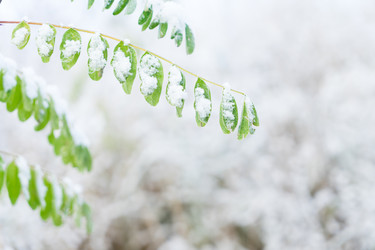 Similar image 14873334