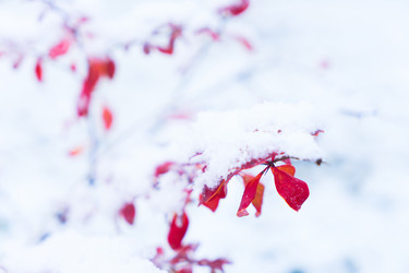 Similar image 14873351