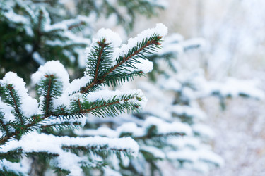 Similar image 14873362