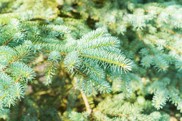 Similar image 14873393