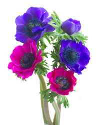 Similar image 14873432