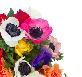 Similar image 14873450