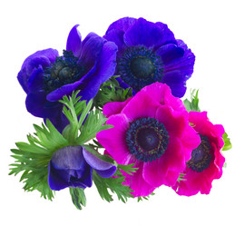 Similar image 14873484