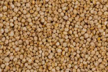 Similar image 13327818