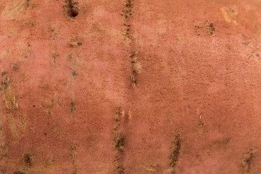 Similar image 13327892