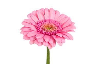 Similar image 13327909